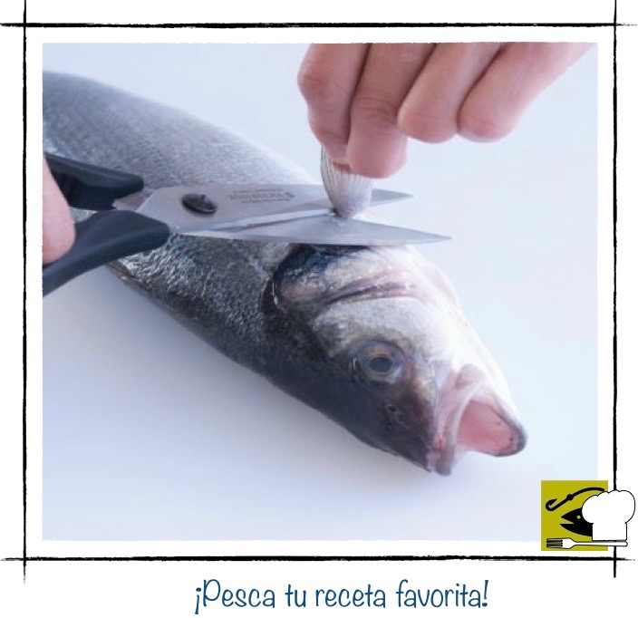 Una persona usando unas tijeras de cocina para cortar las aletas de una lubina limpia sobre una tabla de cocina.