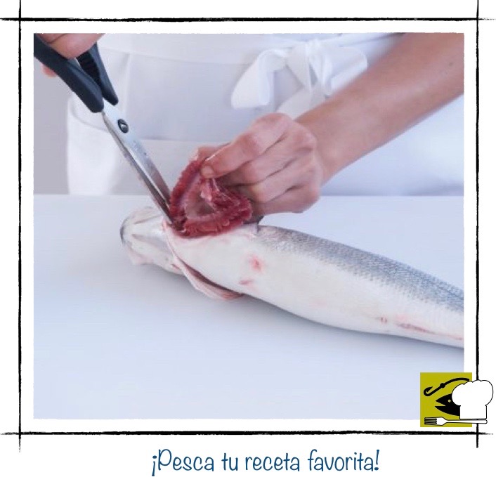 Primer plano de unas manos usando tijeras de cocina para cortar y retirar las branquias de la cabeza de un pescado fresco.
