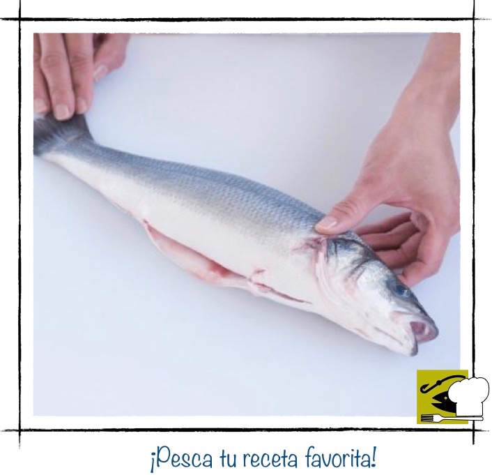 Una lubina fresca y entera, ya limpia, sujeta por dos manos sobre una superficie blanca, lista para ser fileteada.