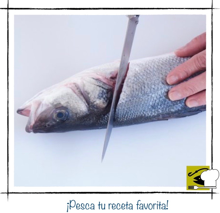 Paso uno: realizando el primer corte para filetear un pescado, con un cuchillo afilado justo detrás de la cabeza y las agallas.