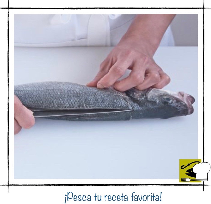 Paso dos para filetear pescado: deslizando la punta de un cuchillo a lo largo de la espina dorsal, desde la cabeza hasta la cola.