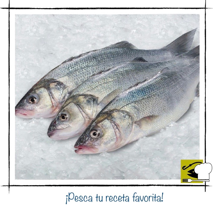 Tres pescados frescos enteros sobre hielo (Lubinas).