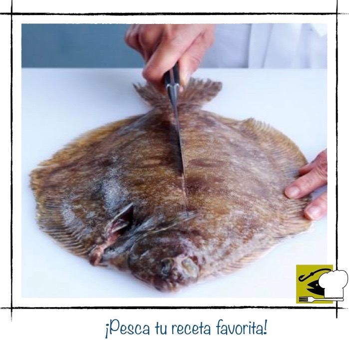 Paso uno: realizando el primer corte para filetear un pescado, con un cuchillo afilado justo detrás de la cabeza y las agallas.
