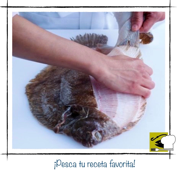 Sexto paso: dando la vuelta al pescado para comenzar a filetear el segundo lomo por el lado opuesto.